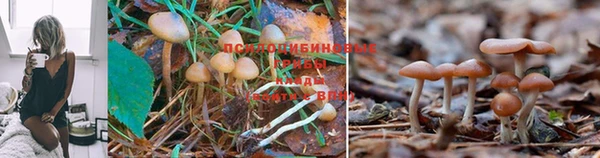 mix Гусиноозёрск
