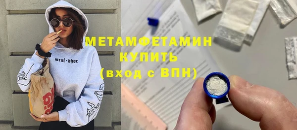индика Гусь-Хрустальный