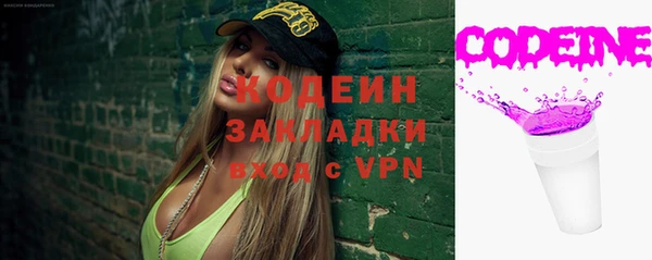 индика Гусь-Хрустальный