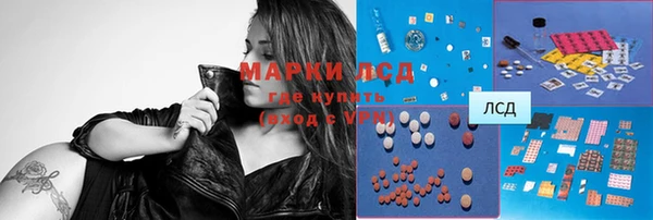 индика Гусь-Хрустальный