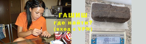 индика Гусь-Хрустальный