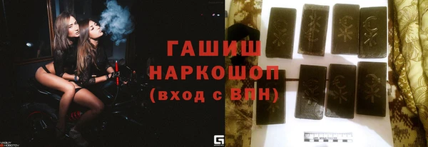 индика Гусь-Хрустальный