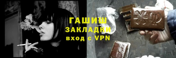 индика Гусь-Хрустальный
