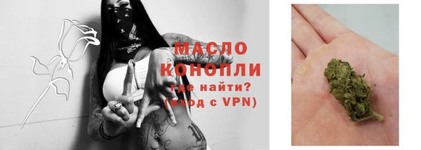 mix Гусиноозёрск