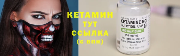 индика Гусь-Хрустальный