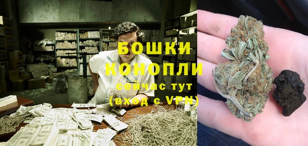 индика Гусь-Хрустальный