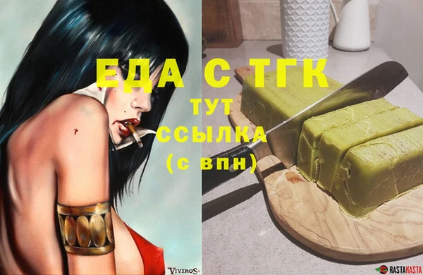 индика Гусь-Хрустальный