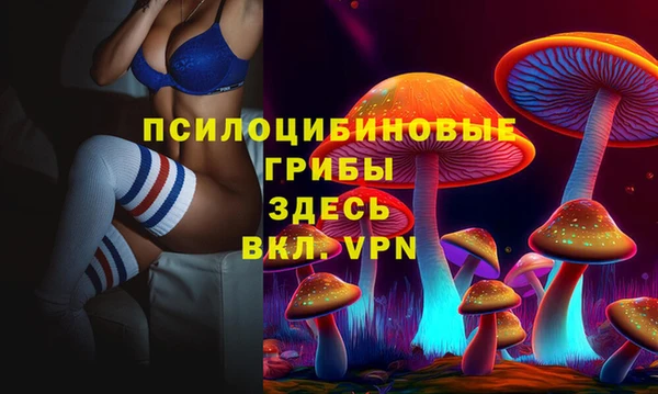 mix Гусиноозёрск