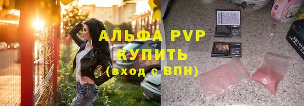 индика Гусь-Хрустальный