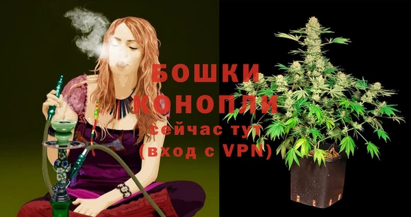 индика Гусь-Хрустальный
