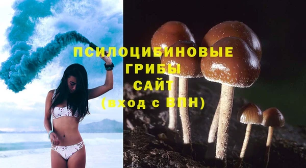 твердый Горняк