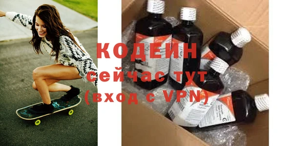 индика Гусь-Хрустальный
