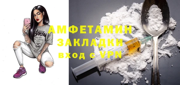 индика Гусь-Хрустальный