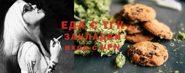 дмт Дмитров