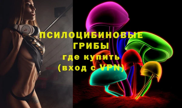 индика Гусь-Хрустальный